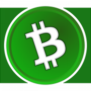 was-ist-bitcoin-cash-bch