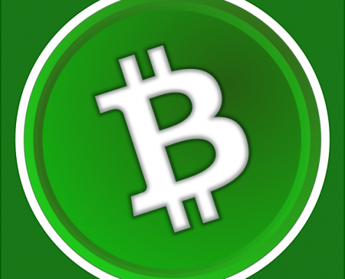 was-ist-bitcoin-cash-bch