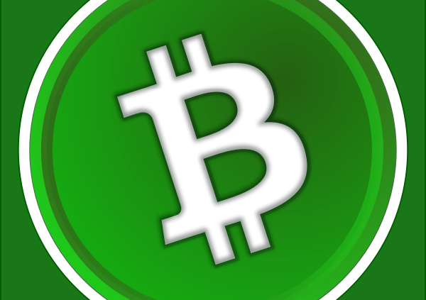 was-ist-bitcoin-cash-bch