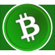 was-ist-bitcoin-cash-bch