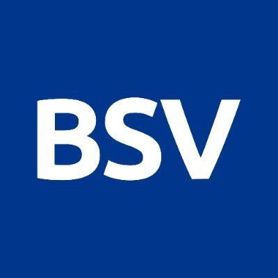 was-ist-bsv
