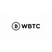 was-ist-wrapped-bitcoin-WBTC